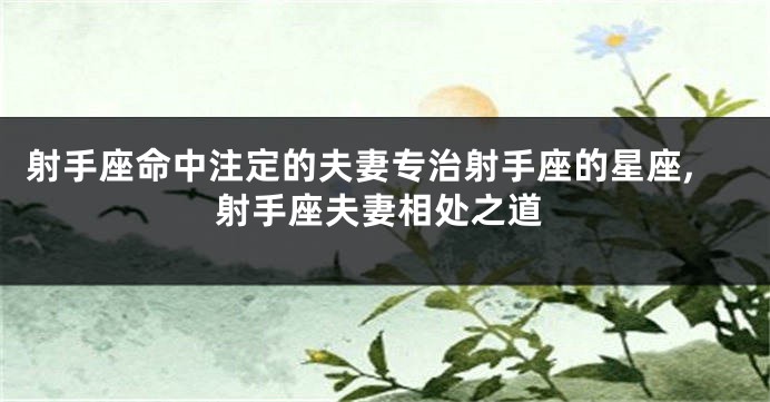 射手座命中注定的夫妻专治射手座的星座,射手座夫妻相处之道