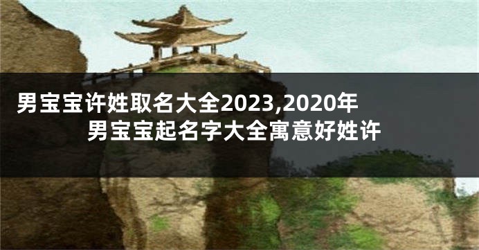 男宝宝许姓取名大全2023,2020年男宝宝起名字大全寓意好姓许