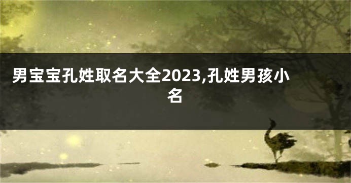男宝宝孔姓取名大全2023,孔姓男孩小名