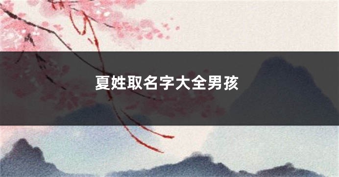 夏姓取名字大全男孩