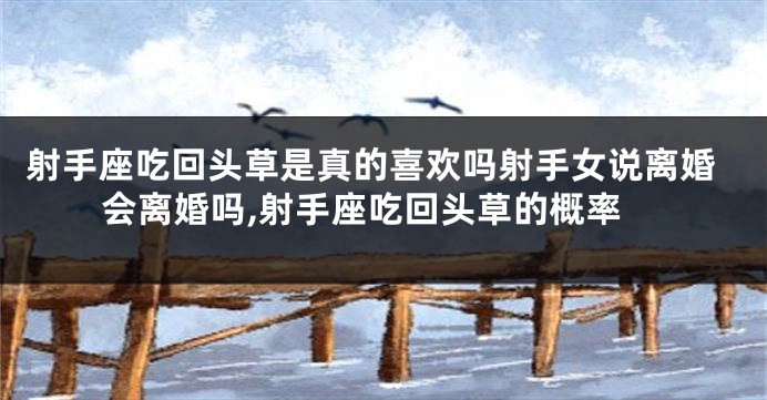 射手座吃回头草是真的喜欢吗射手女说离婚会离婚吗,射手座吃回头草的概率