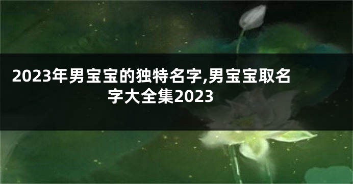 2023年男宝宝的独特名字,男宝宝取名字大全集2023