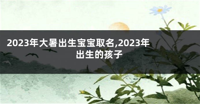 2023年大暑出生宝宝取名,2023年出生的孩子