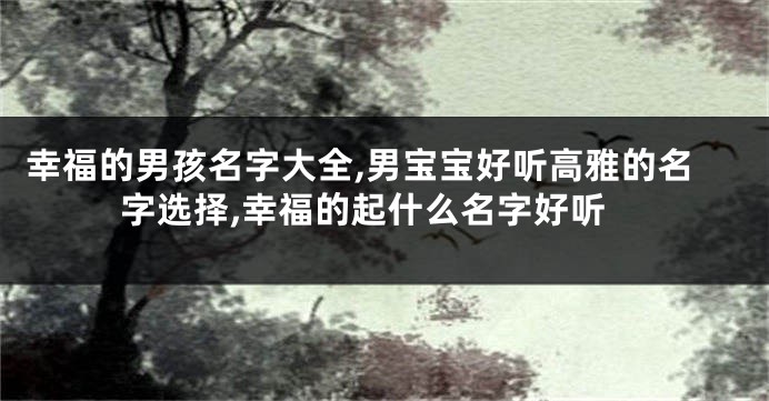 幸福的男孩名字大全,男宝宝好听高雅的名字选择,幸福的起什么名字好听