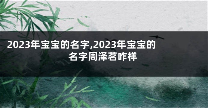 2023年宝宝的名字,2023年宝宝的名字周泽茗咋样