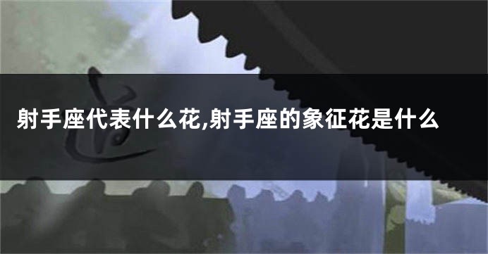 射手座代表什么花,射手座的象征花是什么