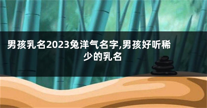 男孩乳名2023兔洋气名字,男孩好听稀少的乳名