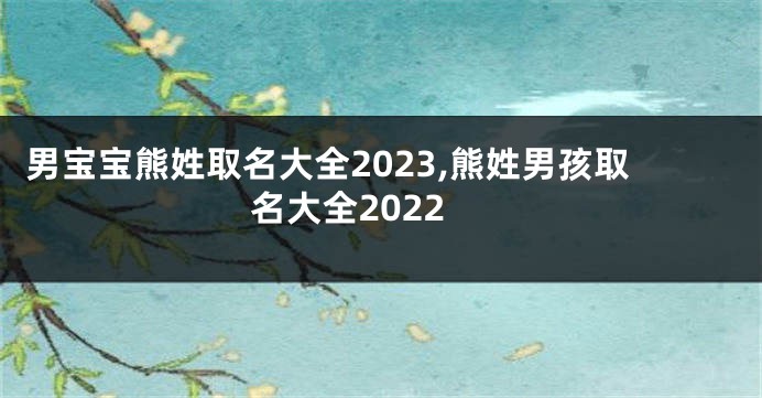 男宝宝熊姓取名大全2023,熊姓男孩取名大全2022