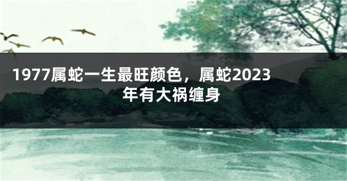 1977属蛇一生最旺颜色,属蛇2023年有大祸缠身