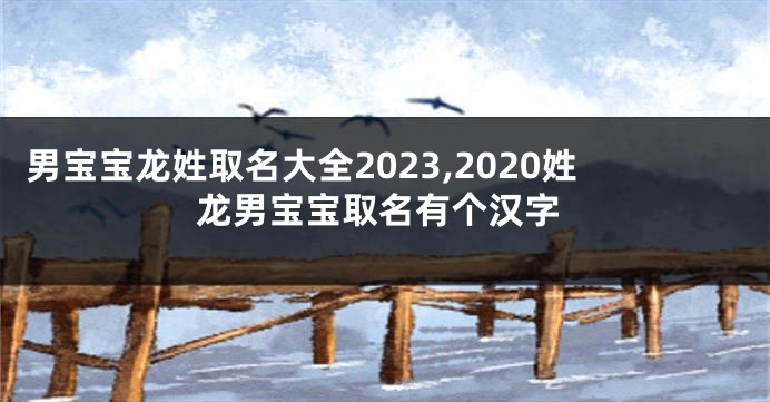 男宝宝龙姓取名大全2023,2020姓龙男宝宝取名有个汉字