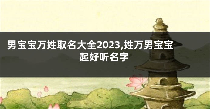 男宝宝万姓取名大全2023,姓万男宝宝起好听名字