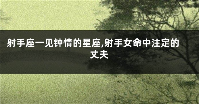 射手座一见钟情的星座,射手女命中注定的丈夫
