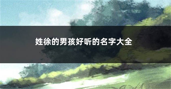 姓徐的男孩好听的名字大全