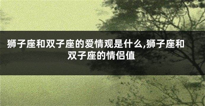 狮子座和双子座的爱情观是什么,狮子座和双子座的情侣值