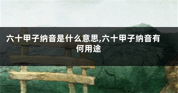 六十甲子纳音是什么意思,六十甲子纳音有何用途