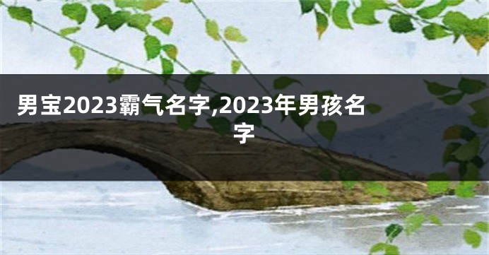 男宝2023霸气名字,2023年男孩名字
