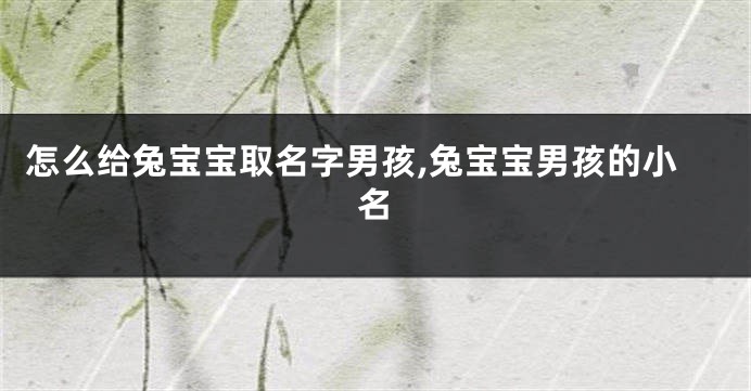 怎么给兔宝宝取名字男孩,兔宝宝男孩的小名