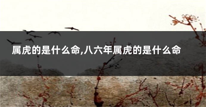 属虎的是什么命,八六年属虎的是什么命