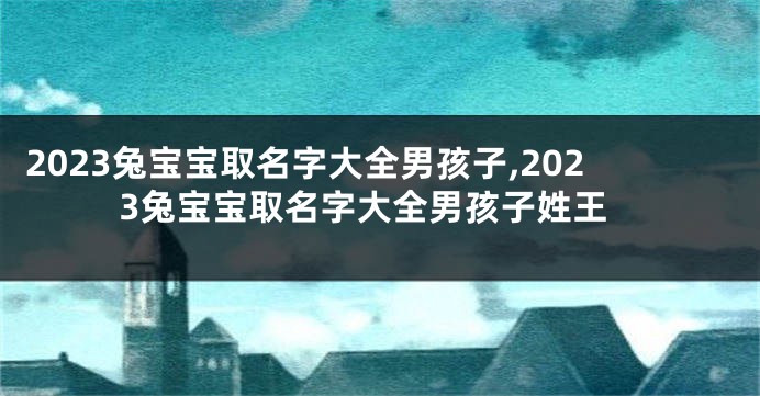 2023兔宝宝取名字大全男孩子,2023兔宝宝取名字大全男孩子姓王