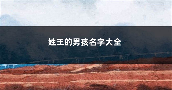 姓王的男孩名字大全