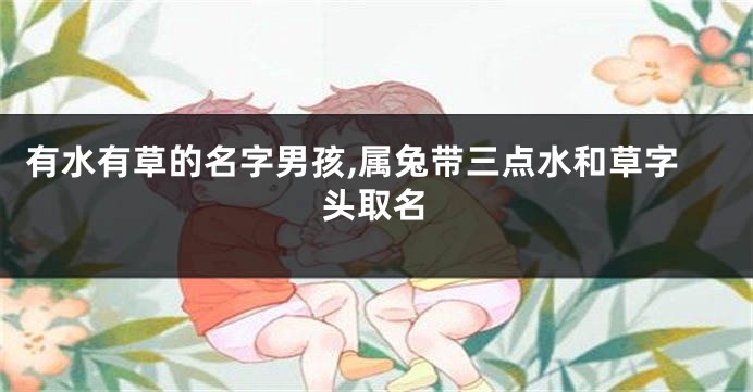 有水有草的名字男孩,属兔带三点水和草字头取名