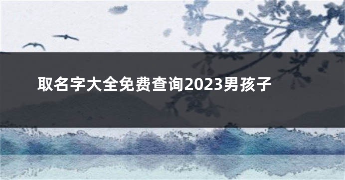取名字大全免费查询2023男孩子
