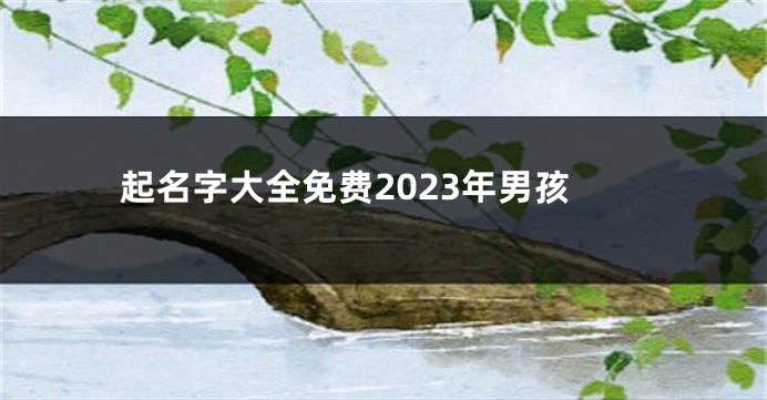 起名字大全免费2023年男孩