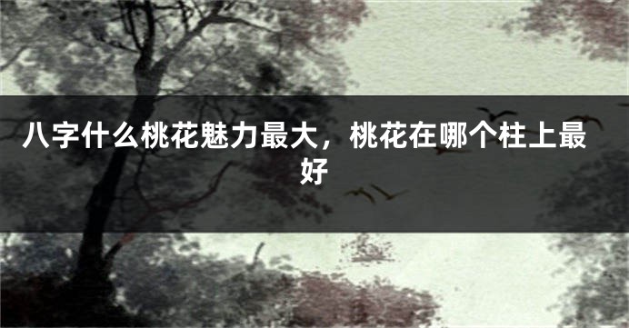 八字什么桃花魅力最大,桃花在哪个柱上最好