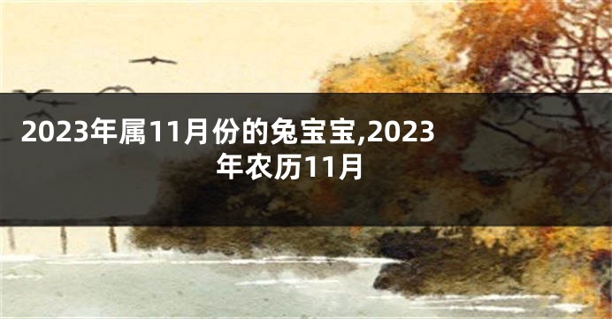 2023年属11月份的兔宝宝,2023年农历11月