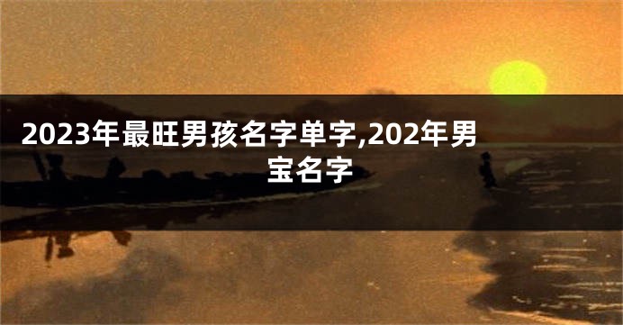 2023年最旺男孩名字单字,202年男宝名字