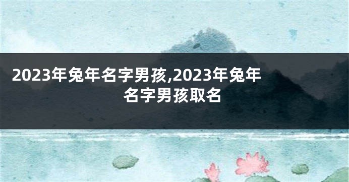 2023年兔年名字男孩,2023年兔年名字男孩取名