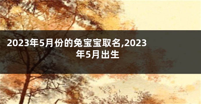 2023年5月份的兔宝宝取名,2023年5月出生