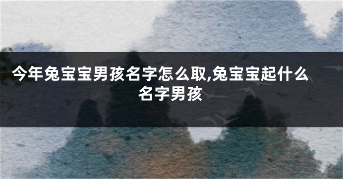 今年兔宝宝男孩名字怎么取,兔宝宝起什么名字男孩