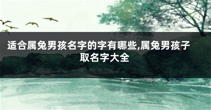 适合属兔男孩名字的字有哪些,属兔男孩子取名字大全