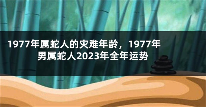 1977年属蛇人的灾难年龄,1977年男属蛇人2023年全年运势