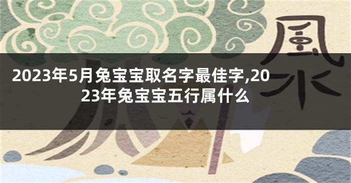 2023年5月兔宝宝取名字最佳字,2023年兔宝宝五行属什么