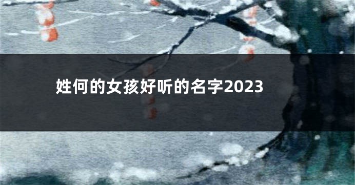姓何的女孩好听的名字2023