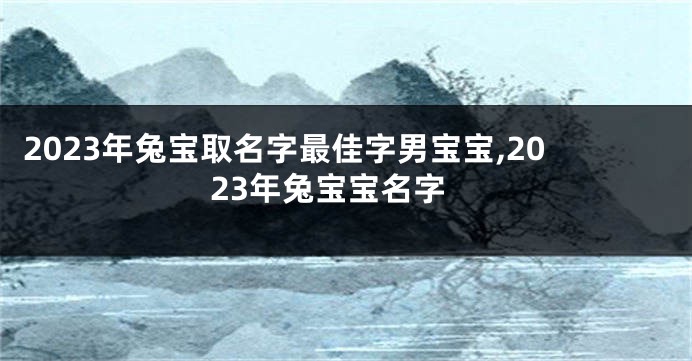 2023年兔宝取名字最佳字男宝宝,2023年兔宝宝名字