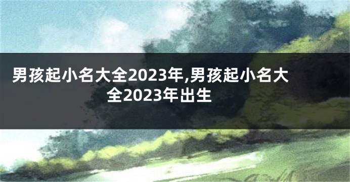 男孩起小名大全2023年,男孩起小名大全2023年出生