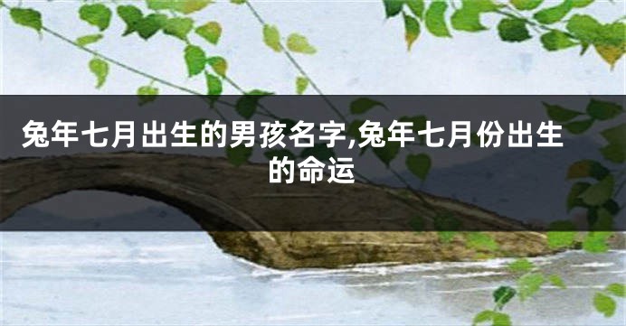 兔年七月出生的男孩名字,兔年七月份出生的命运