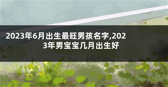 2023年6月出生最旺男孩名字,2023年男宝宝几月出生好