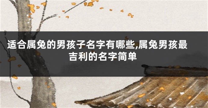 适合属兔的男孩子名字有哪些,属兔男孩最吉利的名字简单