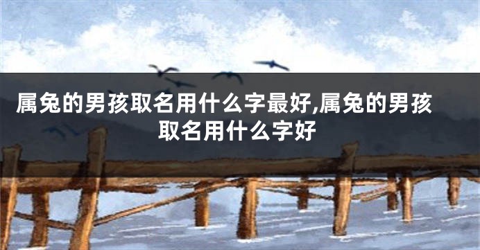 属兔的男孩取名用什么字最好,属兔的男孩取名用什么字好
