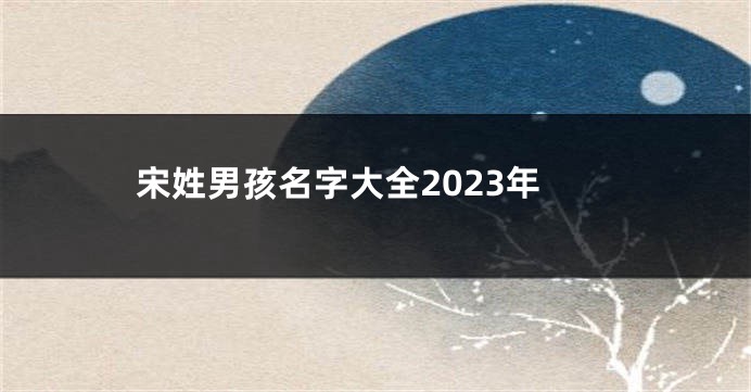 宋姓男孩名字大全2023年