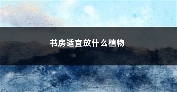 书房适宜放什么植物