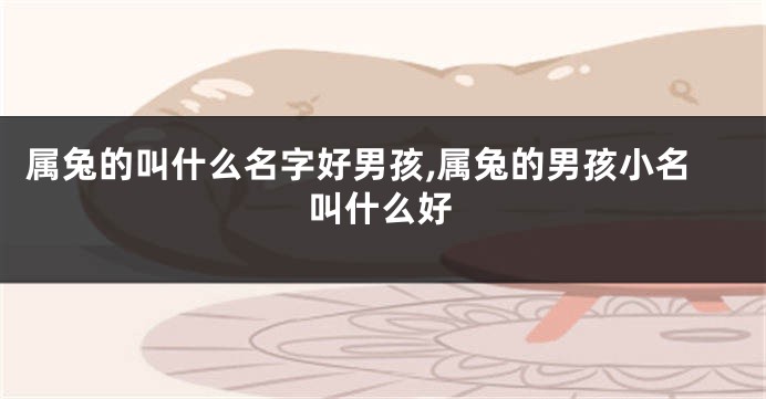属兔的叫什么名字好男孩,属兔的男孩小名叫什么好