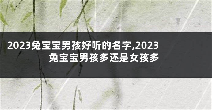 2023兔宝宝男孩好听的名字,2023兔宝宝男孩多还是女孩多