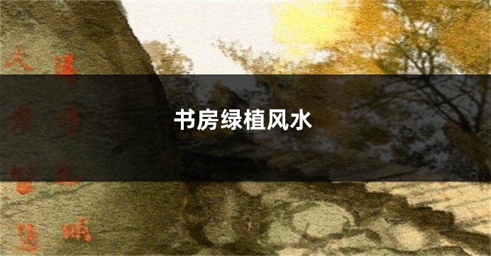 书房绿植风水