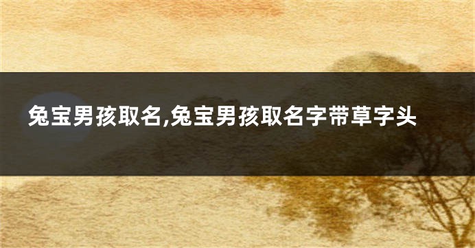 兔宝男孩取名,兔宝男孩取名字带草字头