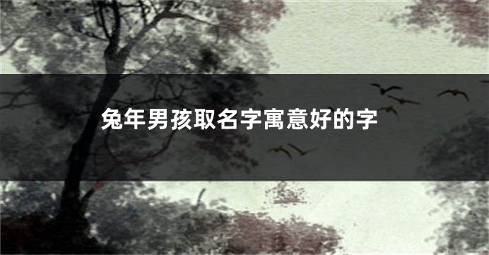 兔年男孩取名字寓意好的字